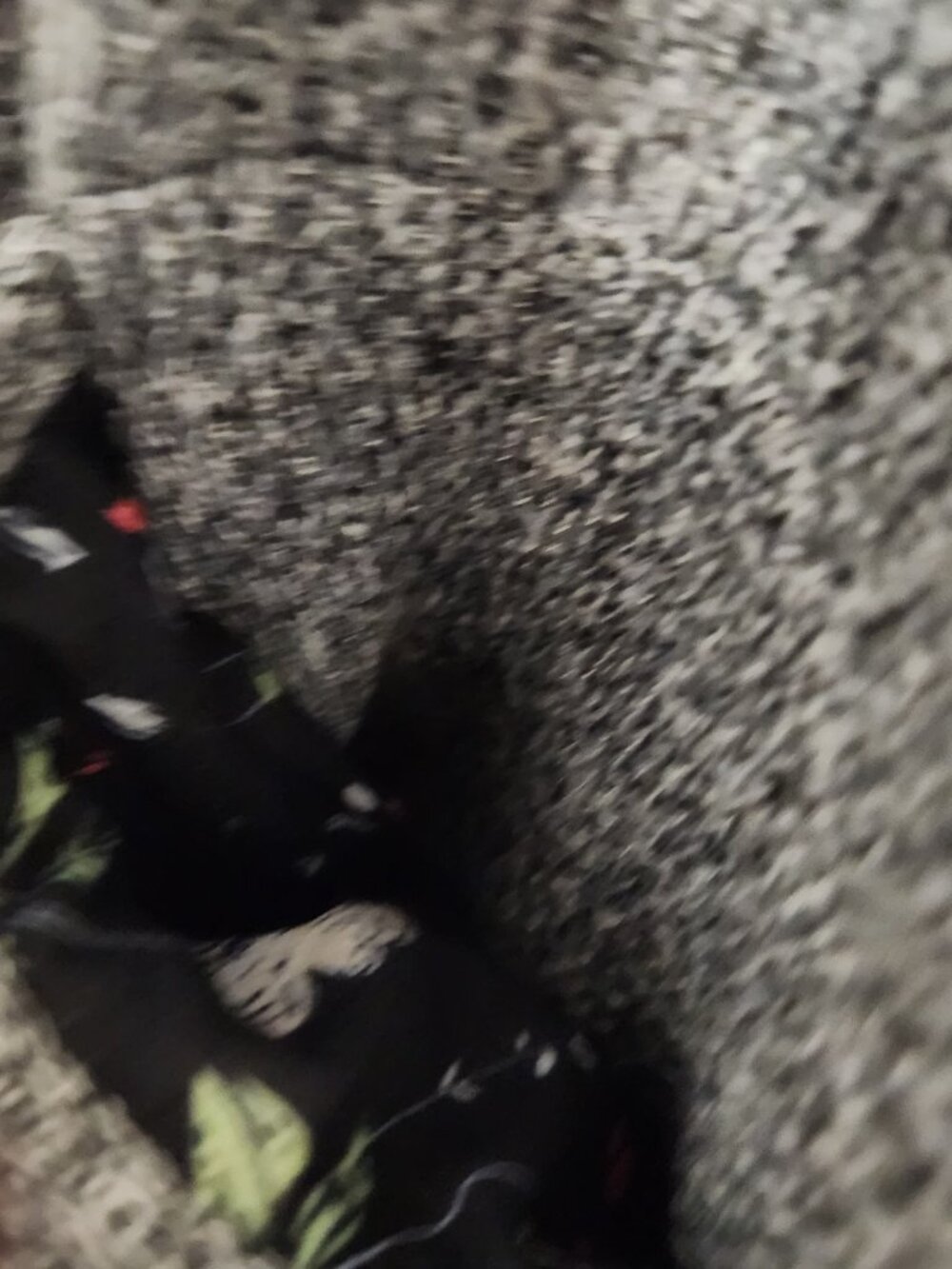 Skies Are Blue Alanna Textured Knit Blazer Heather Grey Black Floral Lining Medi - Picture 11 of 11